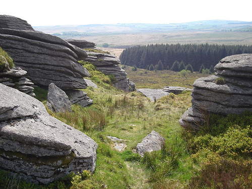 Dartmoor National Park